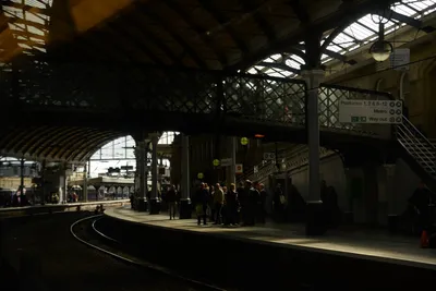 DSC_7200 (Large).JPG